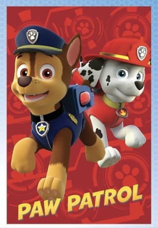 Paw Patrol Fleece Blanket